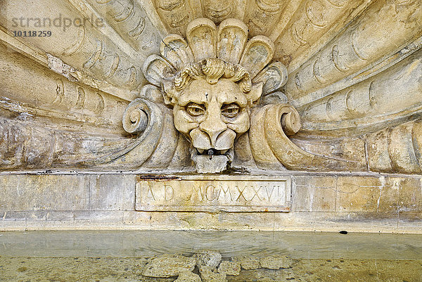 Löwenkopf  Brunnen  Radda in Chianti  Provinz Siena  Toskana  Italien  Europa