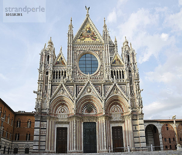 Cattedrale di Santa Maria Assunta  Dom von Siena  Siena  Toskana  Italien  Europa