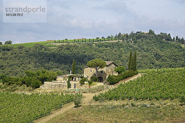 Landhaus  Weinanbau  Radda in Chianti  Provinz Siena  Toskana  Italien  Europa