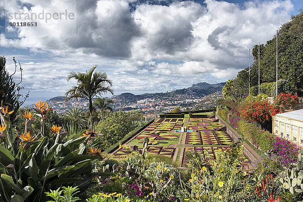 Botanischer Garten  Jardim Botanico  Funchal  Madeira  Portugal  Europa