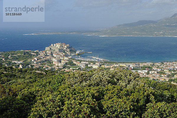 Ausblick von Notre Dame de La Serra auf Calvi  Département Haute-Corse  Korsika  Frankreich  Europa