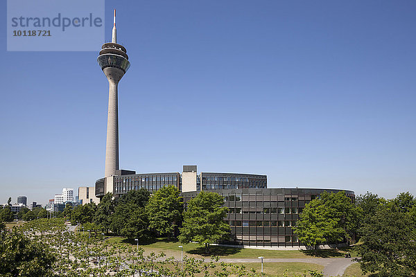 Rheinturm und Landtag des Landes Nordrhein-Westfalen  Düsseldorf  Rheinland  Nordrhein-Westfalen  Deutschland  Europa