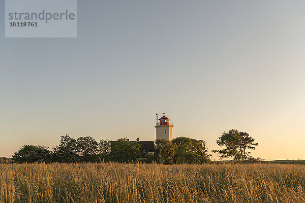 Leuchtturm Westermarkelsdorf  Fehmarn  Ostsee  Schleswig-Holstein  Deutschland  Europa