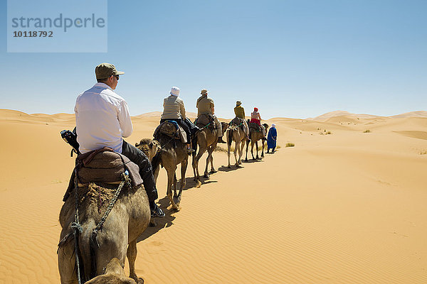 Touristen auf Dromedaren in den Dünen  bei Merzouga  Region Meknès-Tafilalet  Marokko  Afrika