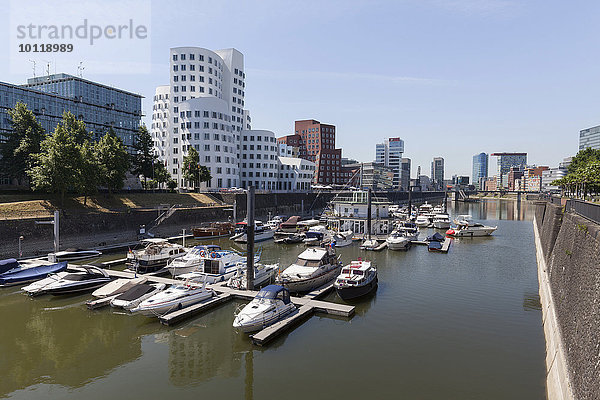 Medienhafen mit Bauten von Architekt Frank O. Gehry  Düsseldorf  Rheinland  Nordrhein-Westfalen  Deutschland  Europa