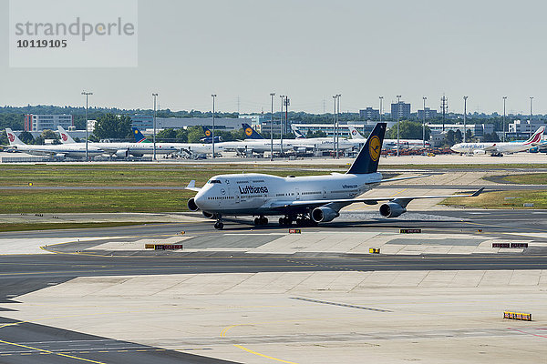 Eine Boeing 747 der Fluggesellschaft Lufthansa am Flughafen Frankfurt  Frankfurt am Main  Hessen  Deutschland  Europa