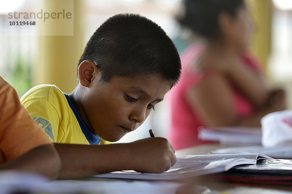 Schüler macht Hausaufgaben  Puerto Maldonado  Departamento Madre de Dios  Peru  Südamerika