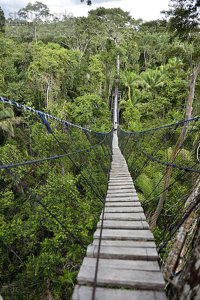 Hängebrücke zwischen hohen tropischen Bäumen des Amazonas-Regenwaldes  Jungle Lodge Estancia Bello Horizonte  Puerto Maldonado  Departamento Madre de Dios  Peru  Südamerika