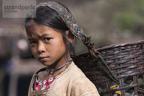 Portrait Berg tragen Korb Dorf blass Myanmar Mädchen Asien Volksstamm Stamm