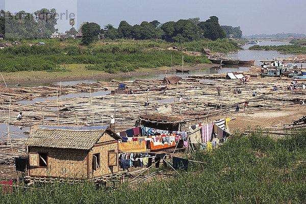 Leben am Fluss  viele Bambusflöße liegen nebeneinander auf dem Fluß Irrawaddy  auch Ayeyarwaddy genannt  Mandalay  Division Mandalay  Myanmar  Asien