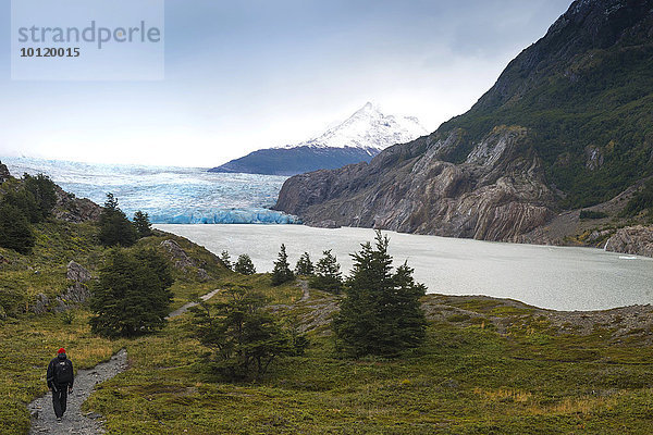 Lago Grey und Grey-Gletscher  Nationalpark Torres del Paine  Patagonien  Chile  Südamerika
