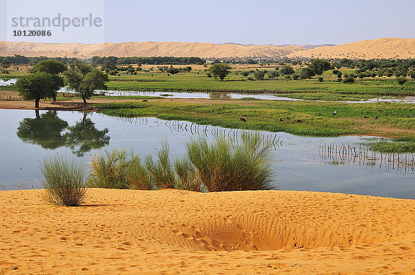 Zeitsee nach einem Regen in der Oase  Moudjeria  Region Tagant  Mauretanien  Afrika