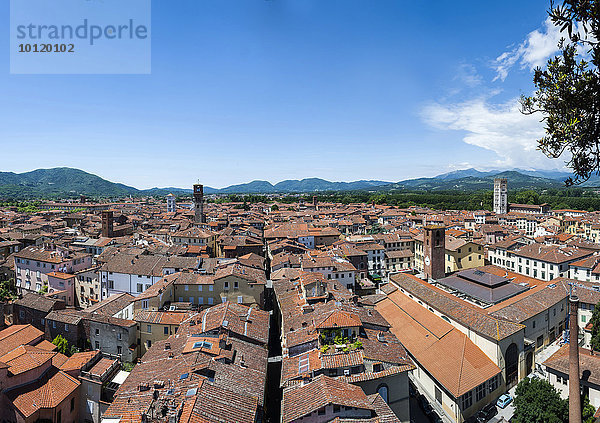 Blick auf Lucca vom Torre Guingi  Lucca  Toskana  Italien  Europa