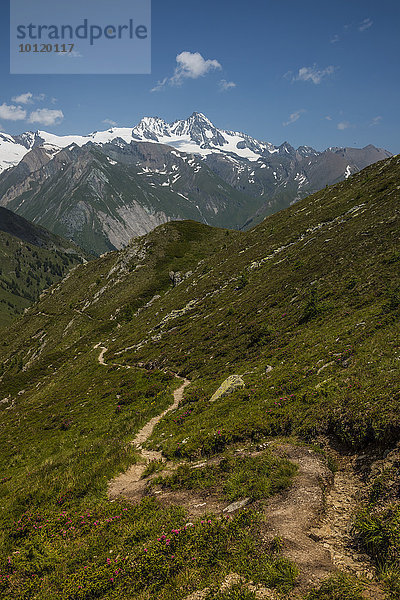 Wanderweg  Hinten Großglockner  Hohe Tauern  Osttirol  Tirol  Österreich  Europa