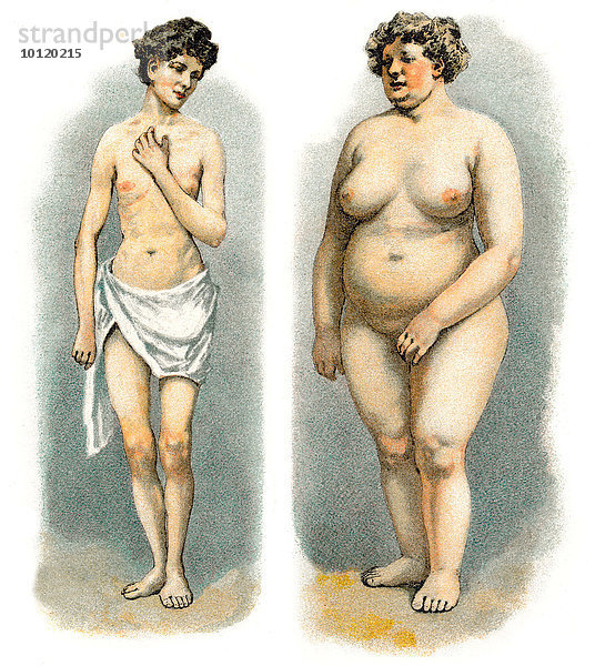 Abnorme und normale Körperformen einer Frau  Gesundheitsratgeber  19. Jahrhundert  Illustration