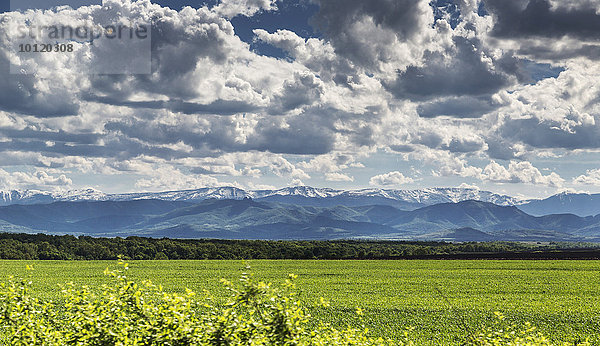 Blick ins Balkangebirge  Smirnenski  Montana  Bulgarien  Europa