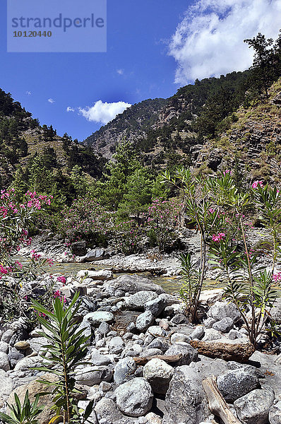 Samaria-Schlucht Nationalpark  Kreta  Griechenland  Europa