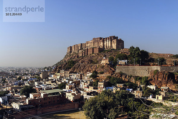 Mehrangarh Festung oder Fort Meherangarh auf dem Hügel  blaue Stadt  Jodhpur  Rajasthan  Indien  Asien