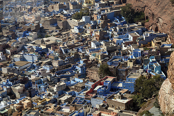 Auslick vom Mehrangarh Fort oder Festung auf Brahmapuri  blaue Stadt  Stadtteil von Jodhpur  Rajasthan  Indien  Asien