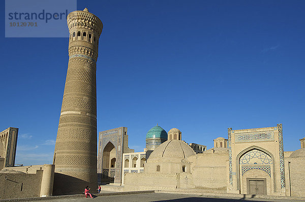Minarett der Kalon-Moschee  Buchara  Usbekistan  Asien