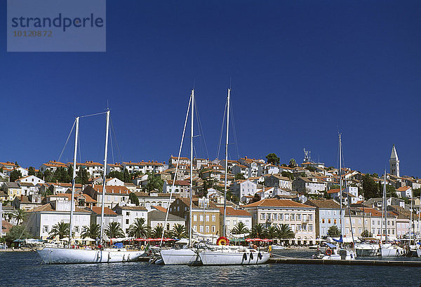 Hafen  Mali Losinj  Insel Losinj  Istrien  Kroatien  Europa