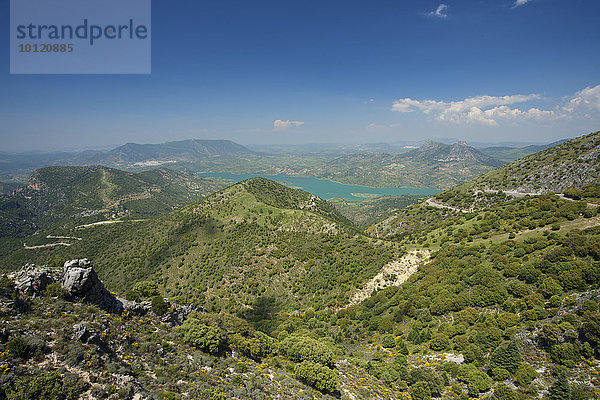 See Embalse de Zahara im Naturpark Sierra de Grazalema  Andalusien  Spanien  Europa