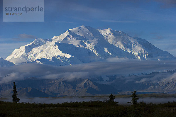 Schneebedeckter Mount McKinley  Denali-Nationalpark  Healy  Alaska