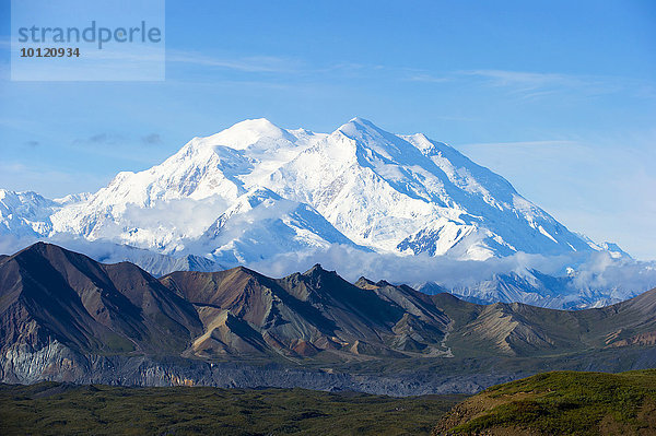 Schneebedeckter Mount McKinley am Morgen  Denali-Nationalpark  Healy  Alaska