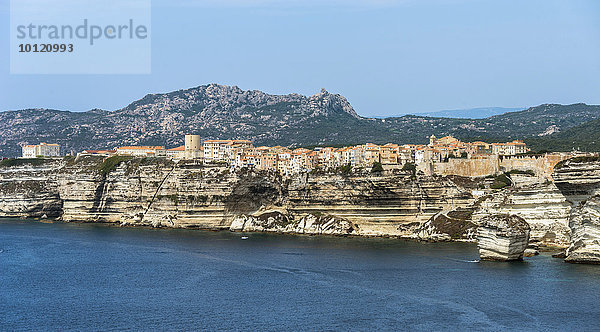 Steilküste  Kreidefelsen  Bonifacio  Korsika  Frankreich  Europa