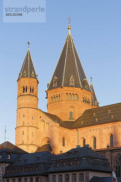 Mainzer Dom St. Martin  Mainz  Rheinland-Pfalz  Deutschland  Europa
