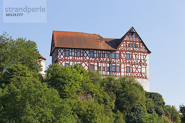 Schloss Homburg  Homburg am Main  Triefenstein  Unterfranken  Franken  Bayern  Deutschland  Europa
