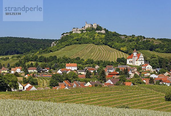 Burgruine Falkenstein und Dorf Falkenstein  Weinviertel  Niederösterreich  Österreich  Europa