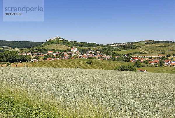 Falkenstein mit Burgruine Falkenstein  Weinviertel  Niederösterreich  Österreich  Europa