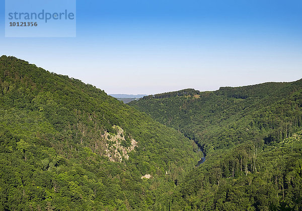 Blick von Burg Schauenstein über das Kamptal  Gemeinde Pölla  Waldviertel  Niederösterreich  Österreich  Europa