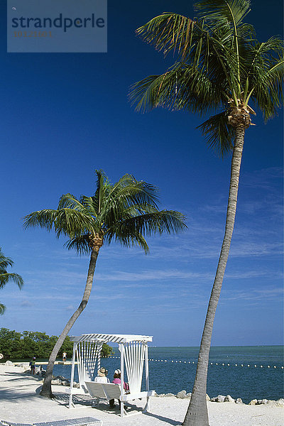 Garden Cove  Key Largo  Florida Keys  Florida  USA  Nordamerika