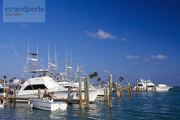 Whale Harbour  Islamorada Key  Florida Keys  Florida  USA  Nordamerika