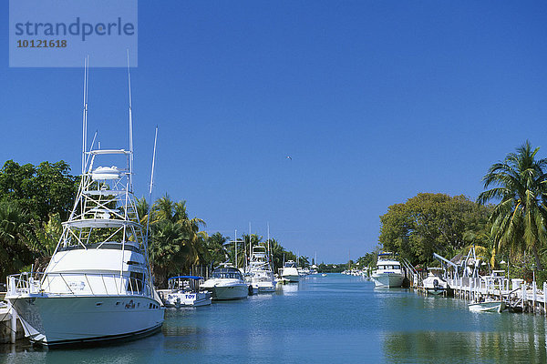 Windley Harbour  Islamorada Key  Florida Keys  Florida  USA  Nordamerika