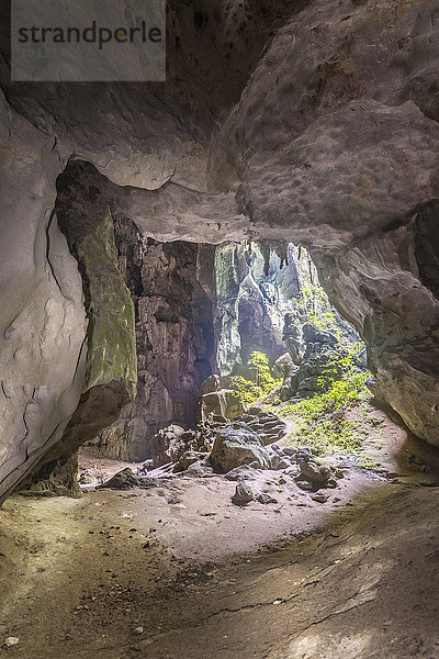 Tropfsteinhöhle im Dschungel  Taman Negara Nationalpark  Jerantut  Pahang  Malaysia  Asien