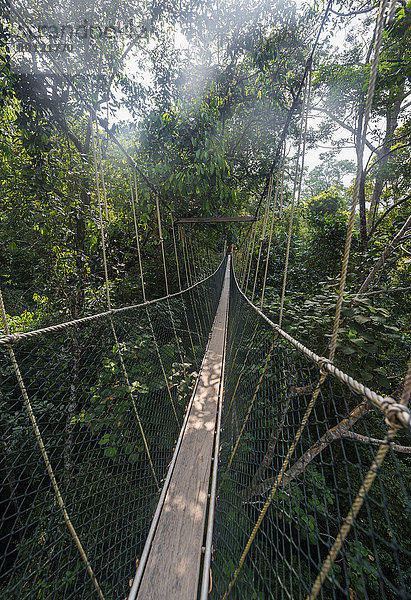 Hängebrücke im Dschungel  Kuala Tahan  Nationalpark Taman Negara  Malaysia  Asien