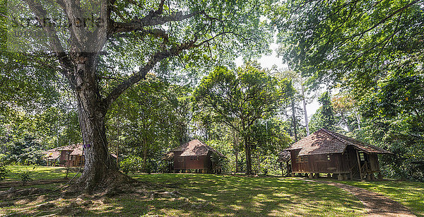 Holzhütten im Dschungel  Kuala Tahan  Nationalpark Taman Negara  Malaysia  Asien