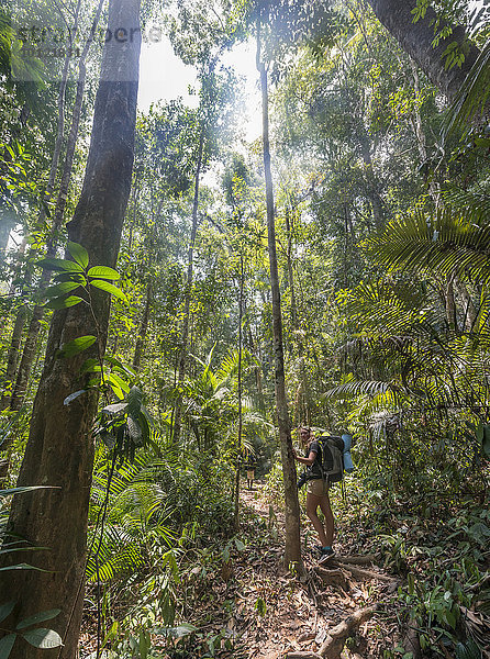 Wanderin  junge Frau läuft auf einem Trampelpfad im Dschungel  Kuala Tahan  Nationalpark Taman Negara  Malaysia  Asien