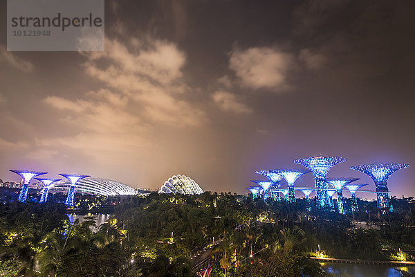 Beleuchtete SuperTrees bei Nacht  Gardens by the Bay  Singapur  Asien