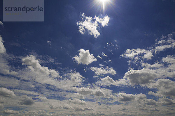 Schönwetterwolken  Cumulus humilis  mit Sonne  Bayern  Deutschland  Europa