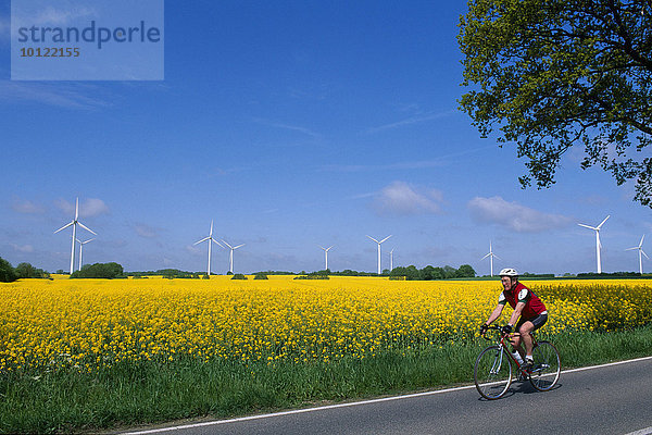 Rennradfahrer vor einem Rapsfeld bei Ahrensbök  Schleswig-Holstein  Deutschland  Europa