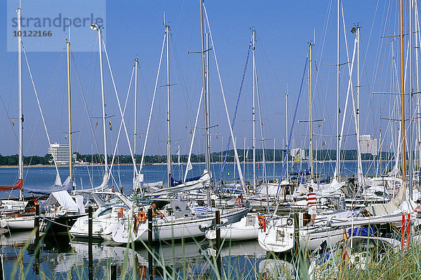 Segelboote im Niendorfer Hafen  Lübecker Bucht  Schleswig-Holstein  Deutschland  Europa