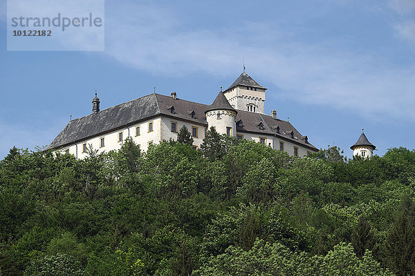 Schloss Greifenstein  Oberfranken  Bayern  Deutschland  Europa