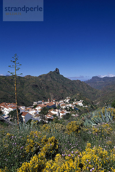 Blick auf Tejeda  Roque Bentaiga  Gran Canaria  Kanaren  Spanien  Europa