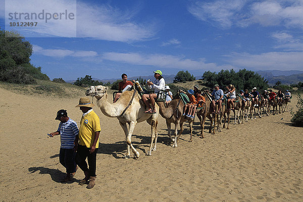 Kamel-Safari für Touristen in den Dünen von Maspalomas  Gran Canaria  Kanaren  Spanien  Europa