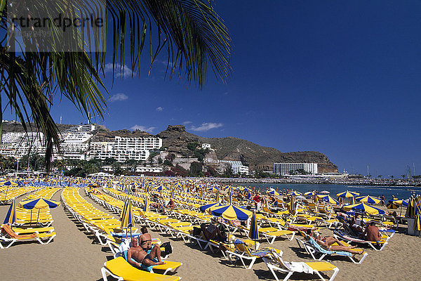 Liegestühle am Strand  Puerto Rico  Gran Canaria  Kanaren  Spanien  Europa  Nordamerika