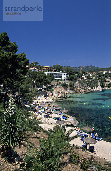Strand in der Cala Fornells  Mallorca  Balearen  Spanien  Europa